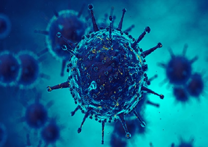 “कोरोना महामारी : भयंकर रूप में बढ़ रहे मामले, 12 की गई जान , 761 नए केस मिले”