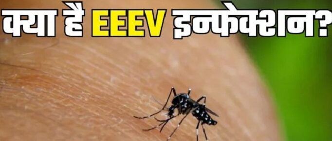 न्यू हैम्पशायर में फैला जानलेवा वायरस,,जानें इससे कैसे बचें!