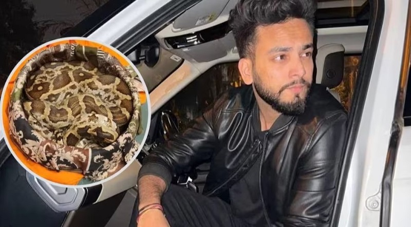 कोबरा कांड में पुलिस ने दाखिल की चार्जशीट,,,Elvish समेत आठ लोगों के नाम शामिल...