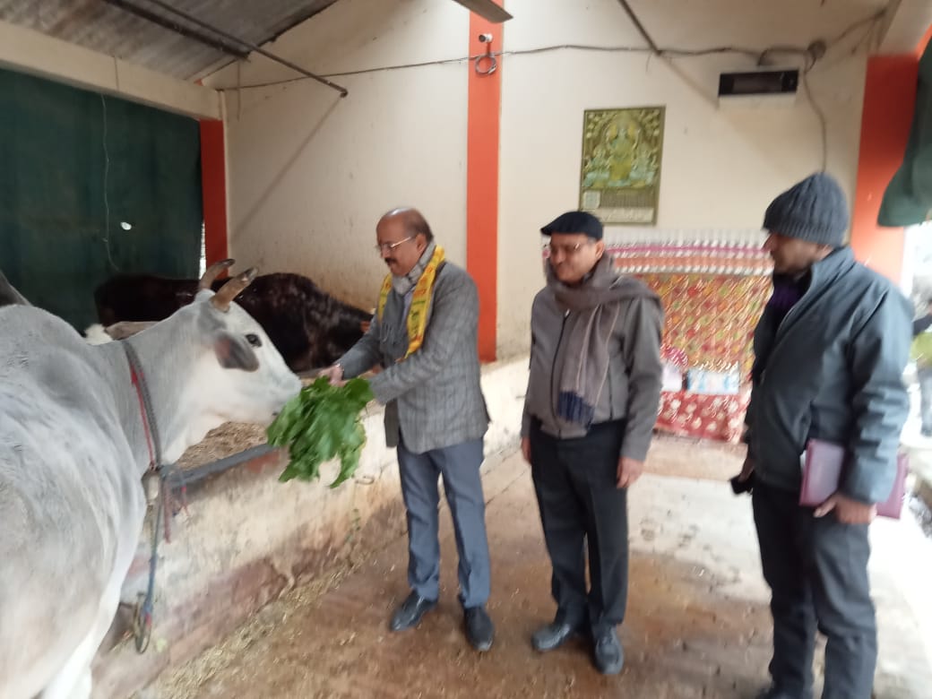 लखनऊ से सहारनपुर आएं नोडल अधिकारी ने कलसिया में किया गौ संरक्षण केंद्र का भ्रमण