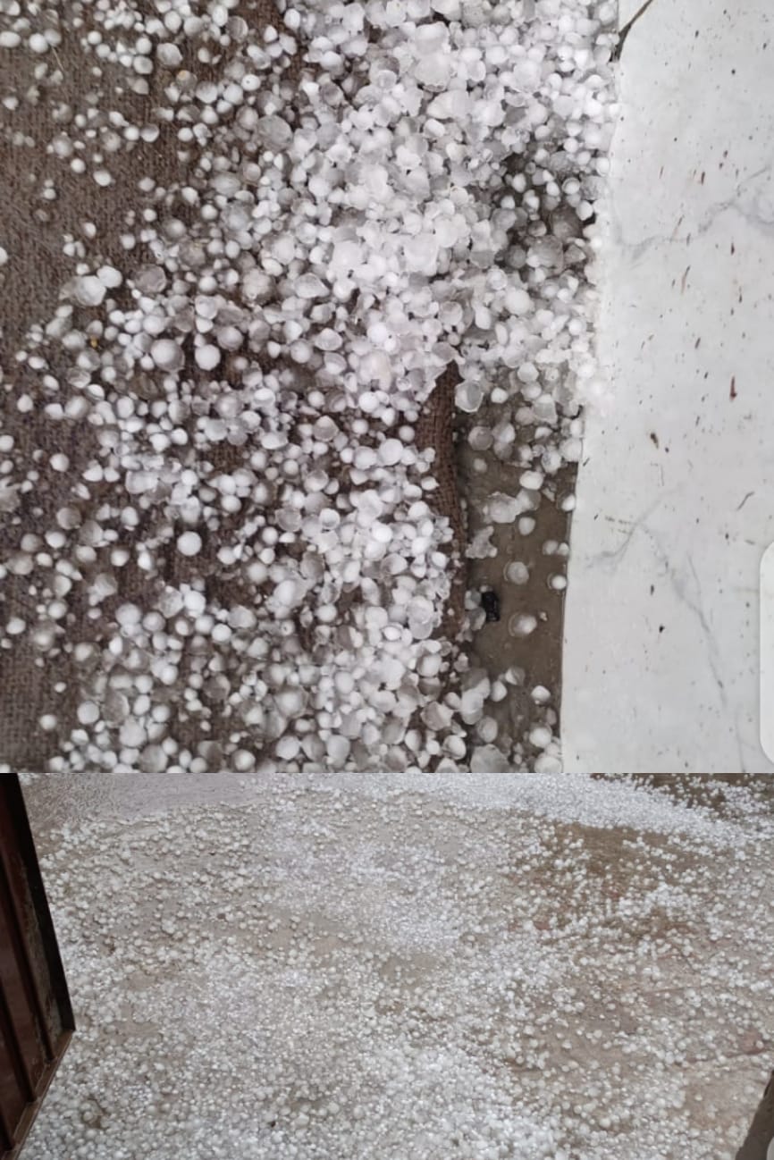 पिरान कलियर क्षेत्र मे बारिश के साथ गिरे ओले ग्रामीणों ने हाथ में ओले खिंचवाए फोटो