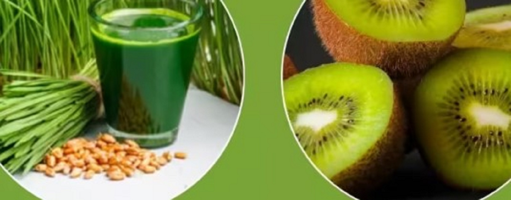 डेंगू के मरीजों के लिए प्लेटलेट्स बढ़ाने वाले सुपरफूड्स,,जानें उनके फायदे और उपयोग