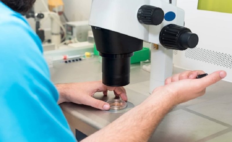 बड़ी अपडेट,,,,अधिकतर नि:संतान माता-पिता पैदा कर सकते हैं बच्चे,,,,इसके अलावा भी है ईलाज....