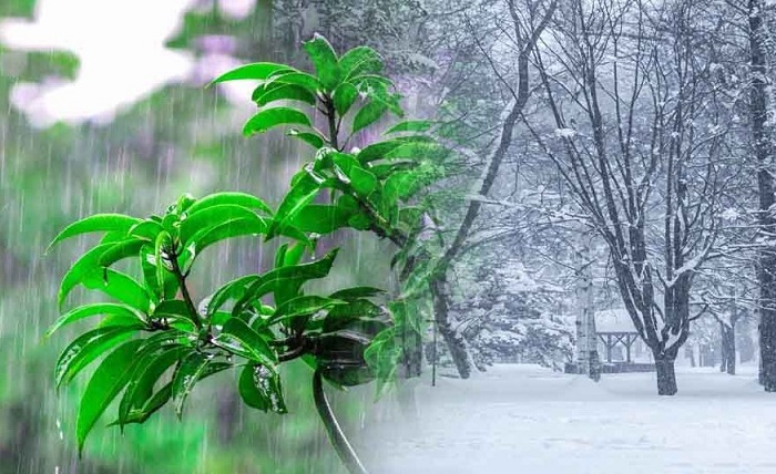 प्रदेश में मौसम बदलेगा करवट,,,,बारिश और बर्फबारी के आसार.....