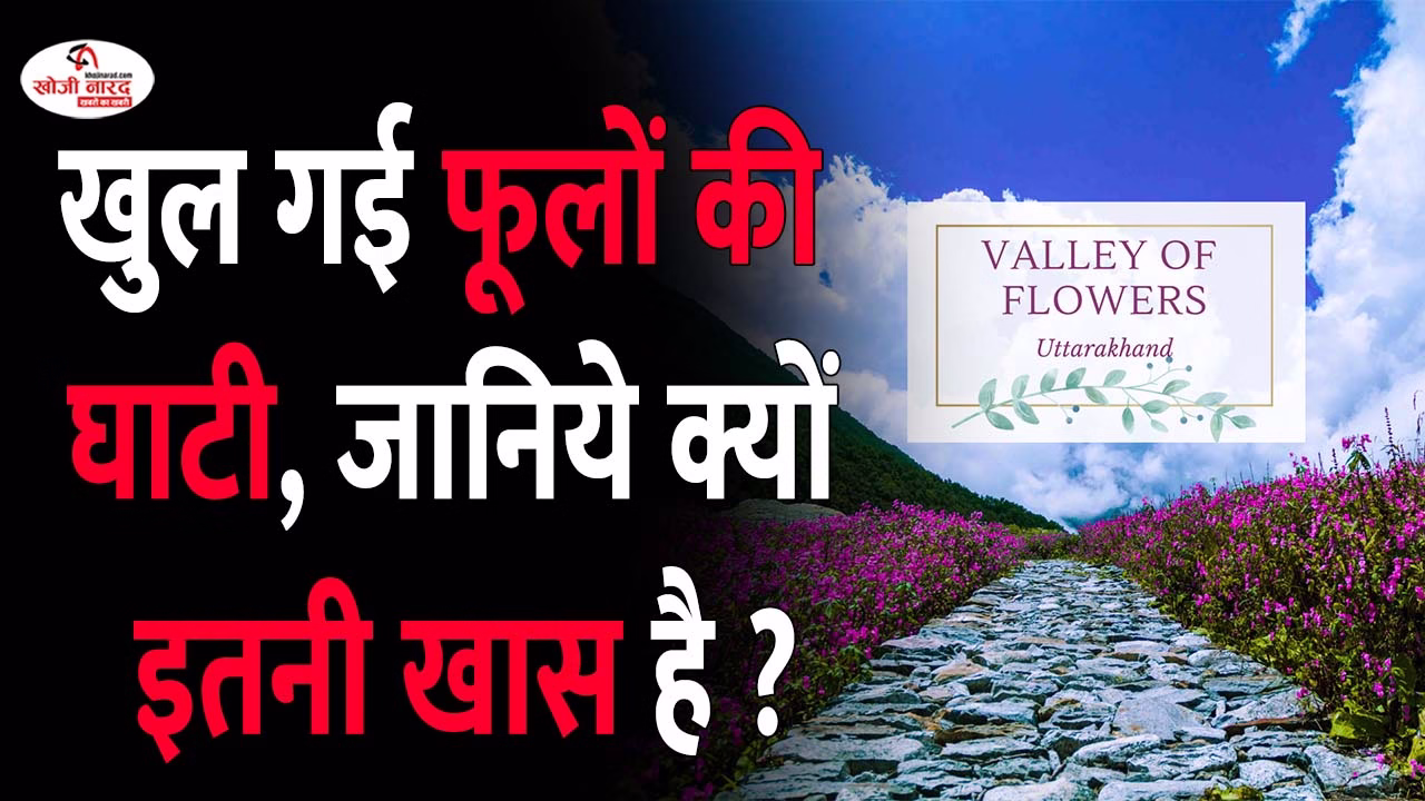 खुल गई  फूलों की घाटी, जानिये क्यों इतनी खास है ?