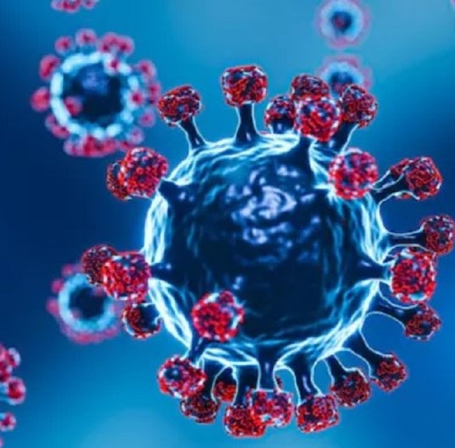 यह वायरस दिमाग को पहुंचा सकता हैं नुकसान