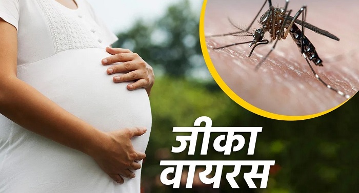 प्रेग्नेंसी में जीका वायरस के खतरनाक प्रभाव और बचाव के उपाय..