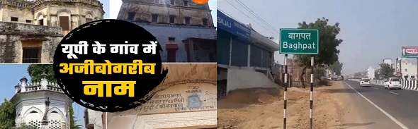 औरतें बिल्ली और पुरुष है भेड़िये!