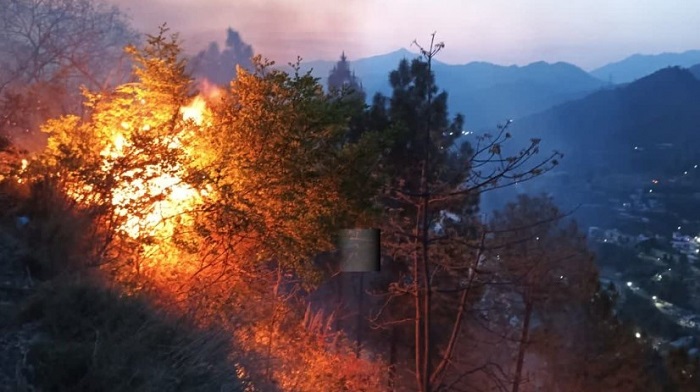 वनाग्नि में झुलसी टिहरी की महिला ने देहरादून के अस्पताल में तोड़ा दम,, जाते-जाते खोल गईं स्वास्थ्य व्यवस्था की पोल..