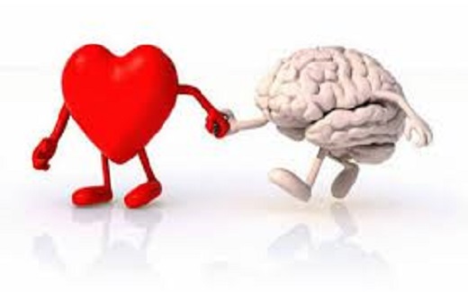 दिमाग क्यों मानता है दिल का आर्डर?