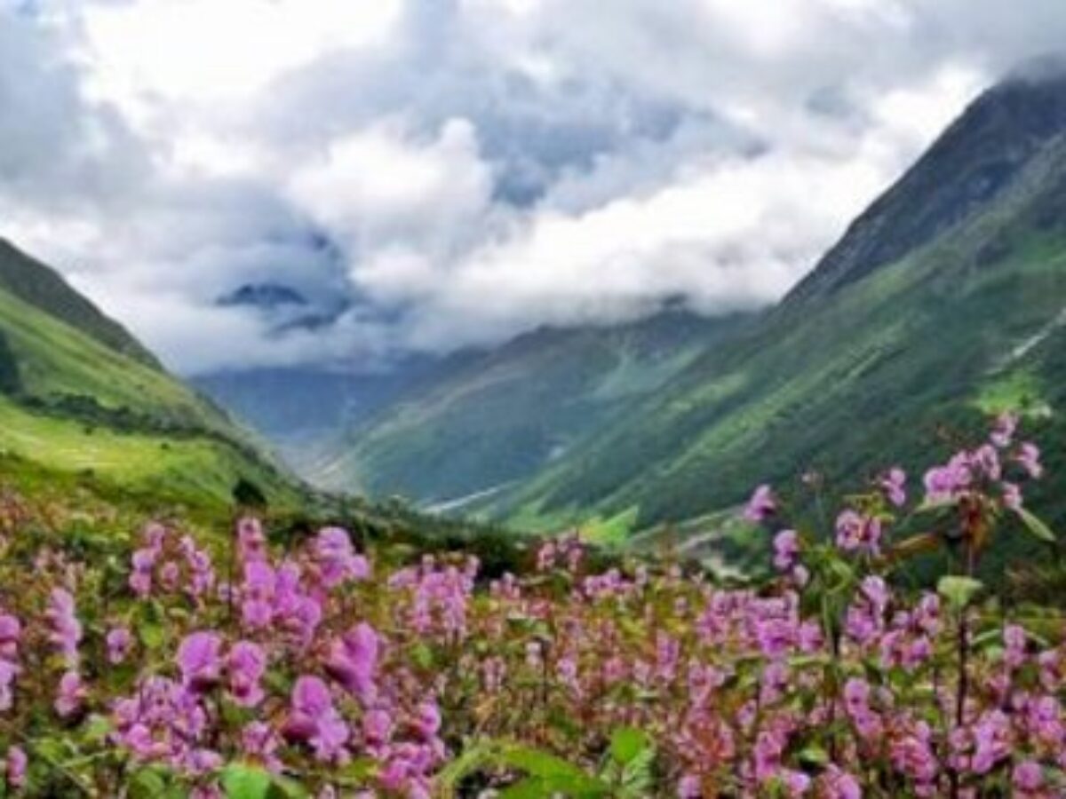 बिग न्यूज़ : पर्यटकों के लिए खुली विश्व प्रसिद्ध फूलों की घाटी