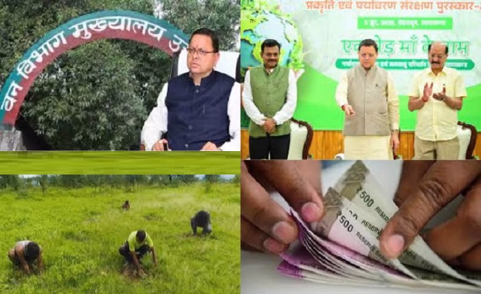 गजब घोटाला ! 100 रूपये में खरीदा 10 रूपये वाला पौधा