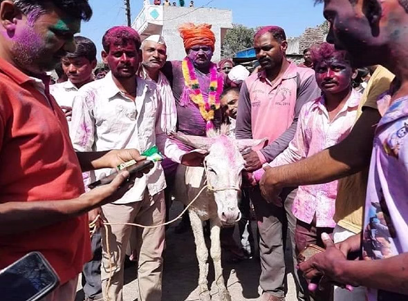 होली के दिन गधे पर होती हैं दामाद की ‘खातिरदारी’