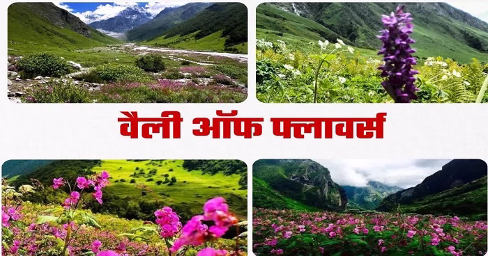 खुल गई  फूलों की घाटी, जानिये क्यों इतनी खास है ?